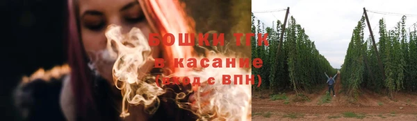 СК Медвежьегорск