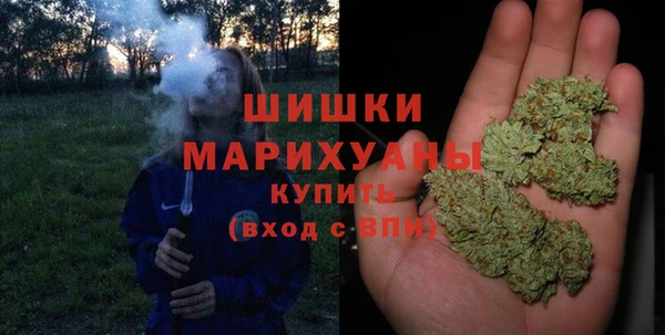 СК Медвежьегорск