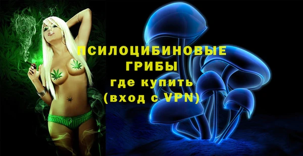 СК Медвежьегорск