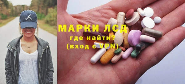СК Медвежьегорск