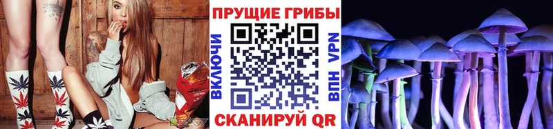 Купить где  Новомичуринск  Псилоцибиновые грибы GOLDEN TEACHER 